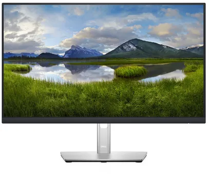 DELL P Series P2422H LED display 60,5 cm (23.8") 1920 x 1080 pixels Full HD LCD Noir