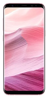 Samsung Galaxy S8+ SM-G955F 15,8 cm (6.2") SIM unique Android 7.0 4G USB Type-C 4 Go 64 Go 3500 mAh Rose