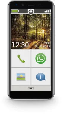 Emporia Smart 3 Mini 12,7 cm (5") SIM unique Android 9.0 4G Micro-USB 2 Go 16 Go 2500 mAh Noir