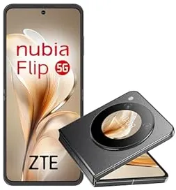 ZTE Nubia Flip 5G 17,5 cm (6.9") USB Type-C 8 Go 256 Go 4310 mAh Noir