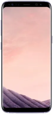 Samsung Galaxy S8 SM-G950F 14,7 cm (5.8") SIM unique Android 7.0 4G USB Type-C 4 Go 64 Go 3000 mAh Gris