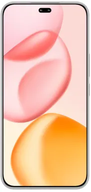 Honor 400 Pro 17 cm (6.7") MagicOS 9.0 5G 12 Go 512 Go 5300 mAh Gris