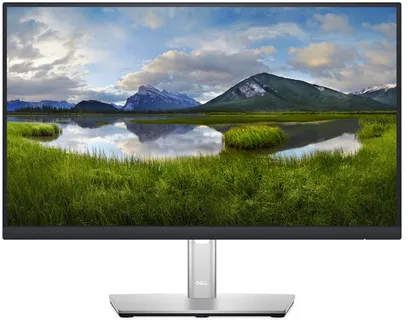 DELL P Series Écran 22" - P2222H