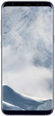 Samsung Galaxy S8+ SM-G955F 15,8 cm (6.2") SIM unique Android 7.0 4G USB Type-C 4 Go 64 Go 3500 mAh Argent