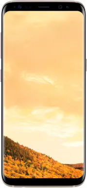 Samsung Galaxy S8 SM-G950FD 14,7 cm (5.8") Double SIM Android 7.0 4G USB Type-C 4 Go 64 Go 3000 mAh Or