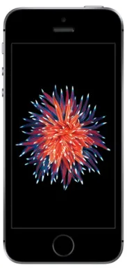 Apple iPhone SE 10,2 cm (4") SIM unique iOS 10 4G 32 Go Gris