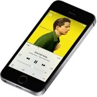 Apple iPhone SE 10,2 cm (4") SIM unique iOS 9 4G 16 Go Noir, Gris