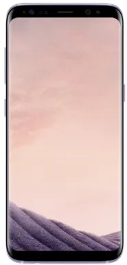 Samsung Galaxy S8 SM-G950F 14,7 cm (5.8") SIM unique Android 7.0 4G USB Type-C 4 Go 64 Go 3000 mAh Gris