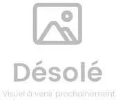 Smeg Classic SO6302S3PX four 68 L Acier inoxydable