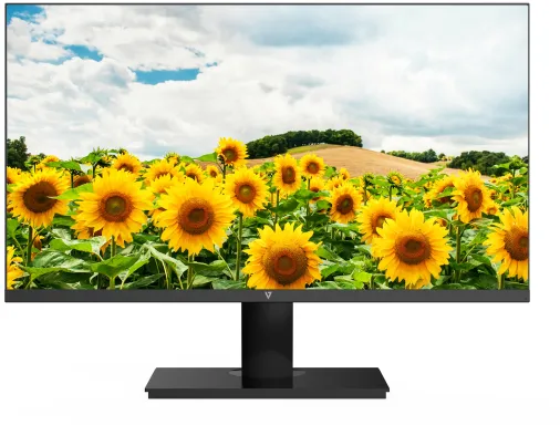 V7 Moniteur IPS 23.8 po FHD 1 920 x 1 080