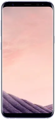 Samsung Galaxy S8+ SM-G955F 15,8 cm (6.2") Double SIM Android 7.0 4G USB Type-C 4 Go 64 Go 3500 mAh Gris