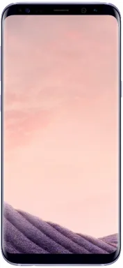 Samsung Galaxy S8+ SM-G955F 15,8 cm (6.2") SIM unique Android 7.0 4G USB Type-C 4 Go 64 Go 3500 mAh Gris