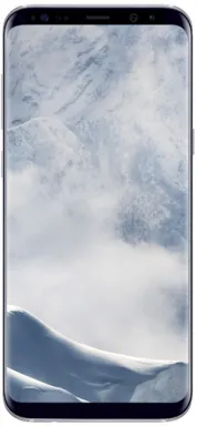 Samsung Galaxy S8+ SM-G955F 15,8 cm (6.2") Android 7.0 4G USB Type-C 4 Go 64 Go 3500 mAh Argent