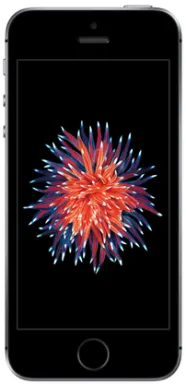 Apple iPhone SE 10,2 cm (4") SIM unique iOS 10 4G 32 Go Gris