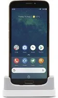 Doro 8080 14,5 cm (5.7") SIM unique Android 9.0 4G USB Type-C 3 Go 32 Go 3200 mAh Noir