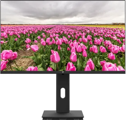 V7 Moniteur IPS 23.8 po FHD 1920 x 1080