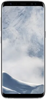 Samsung Galaxy S8 SM-G950F 14,7 cm (5.8") Android 7.0 4G USB Type-C 4 Go 64 Go 3000 mAh Argent
