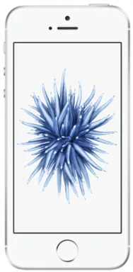 Apple iPhone SE 10,2 cm (4") SIM unique iOS 10 4G 32 Go Argent