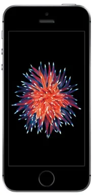 Apple iPhone SE 10,2 cm (4") SIM unique 4G 64 Go Gris