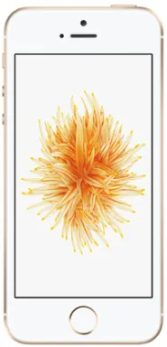 Apple iPhone SE 10,2 cm (4") SIM unique iOS 10 4G 128 Go Or